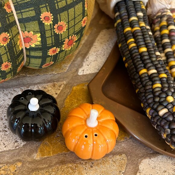 Pumpkin Salt and Pepper Shakers - Picture 4 of 6